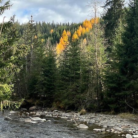 Sidharta Resort Obârşia Lotrului Bagian luar foto
