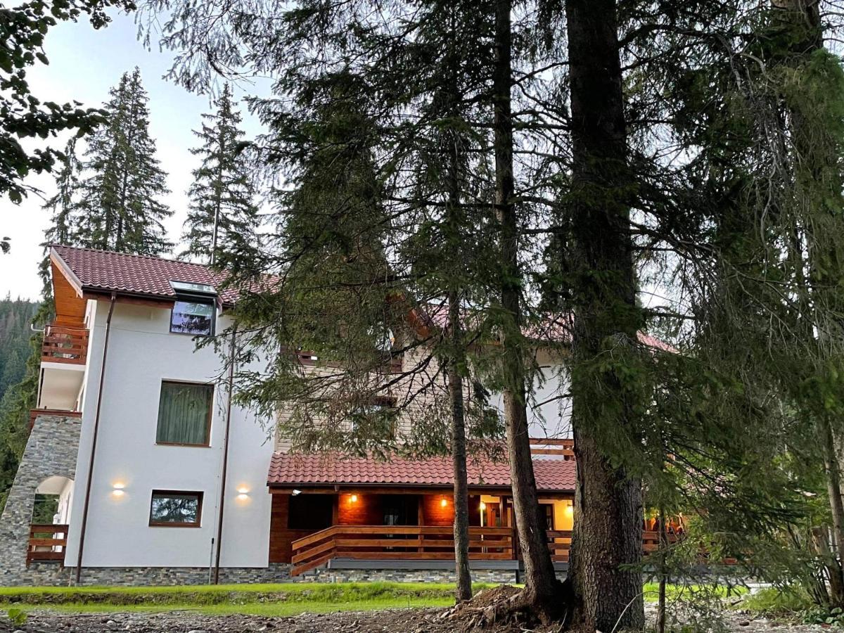 Sidharta Resort Obârşia Lotrului Bagian luar foto